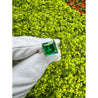 AGL Cert. 2.44 Carat No Oil Colombian Emerald & Trapezoid Diamond Ring